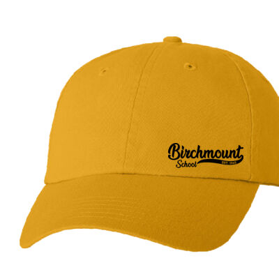 Adult Bio-Washed Classic Dad Hat**Embroidered Logo Thumbnail